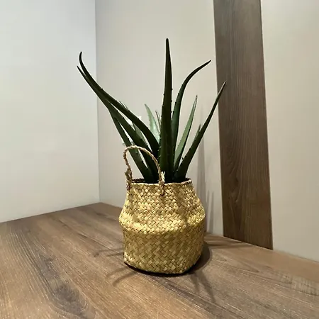 Apartment Lux *